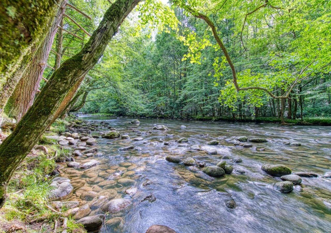 The Grand Orchard Lodge - Gatlinburg, Tn מראה חיצוני תמונה